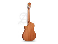 Alhambra Z-NATURE CT EZ incl. Gig Bag Alhambra Z-NATURE CT EZ incl. Gig Bag